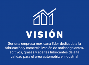 vision 1